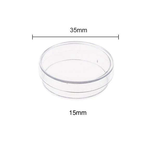 Bacteria Petri Dish