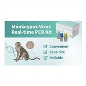 Bộ phát hiện bệnh đậu mùa Monkey Pox Pcr chính xác