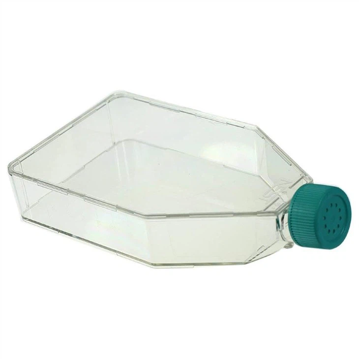 Bình nuôi cấy mô 60ml 250 Ml và 650 Ml đã xử lý